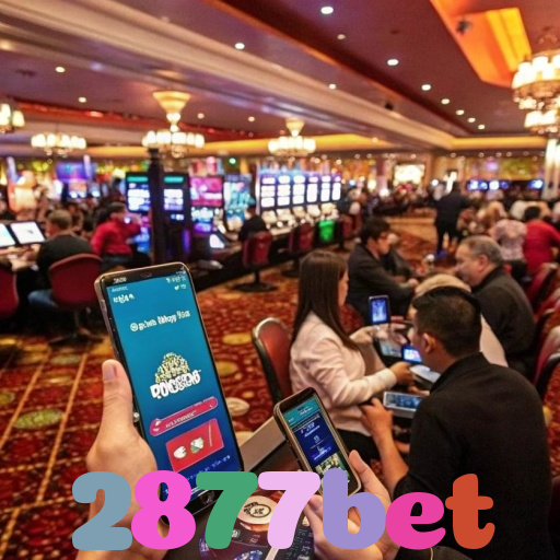 2877bet 